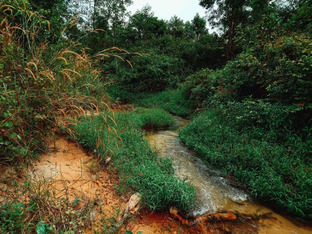 Dòng suối Son hoang sơ chảy giữa thảm cỏ xanh và đất đỏ bazan