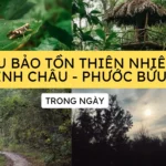 Khu bảo tồn thiên nhiên bình châu phước bửu